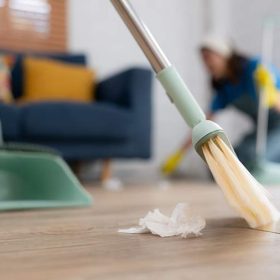 Regular Cleaning
